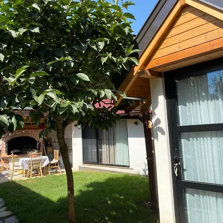 Villa Vileta Auri *
