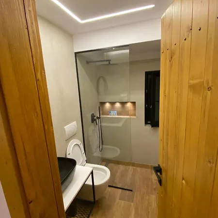 Villa Vileta Auri *